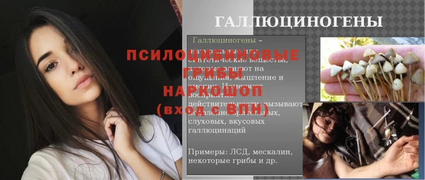 дживик Алексеевка