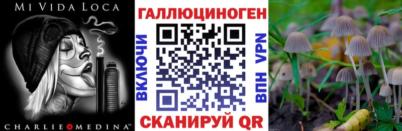 Псилоцибиновые грибы ЛСД  маркетплейс телеграм  Духовщина 